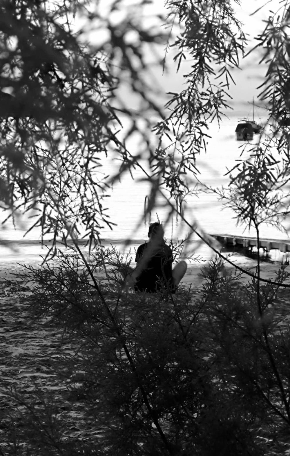 Behind the leaves, silence speaks - 46