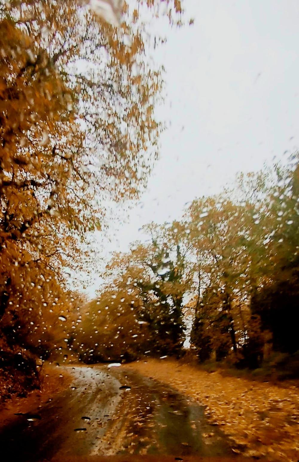 November Rain - 76