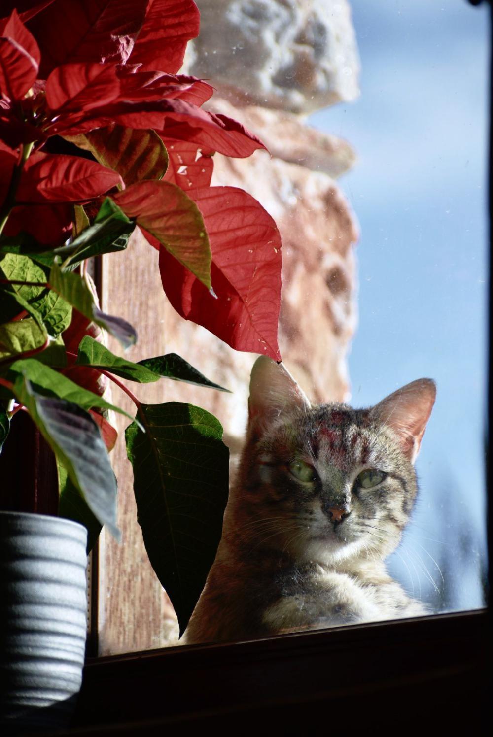 The Gaze of Life - 148