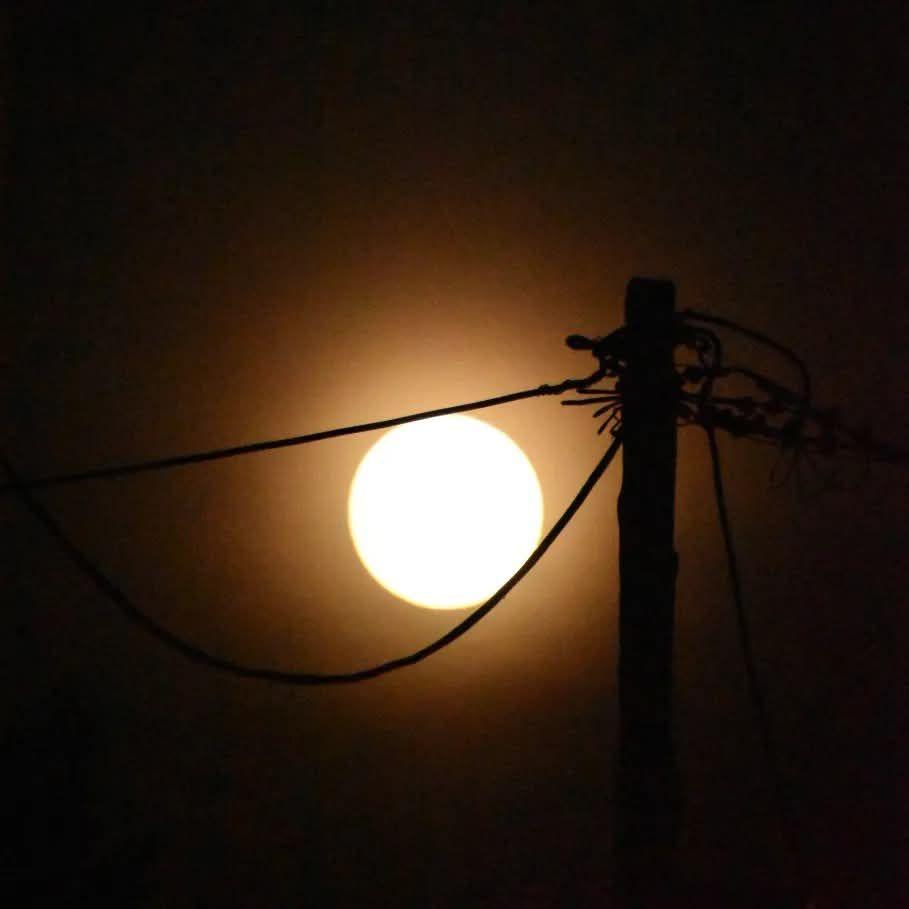 The Lonely Moon of the City - 291