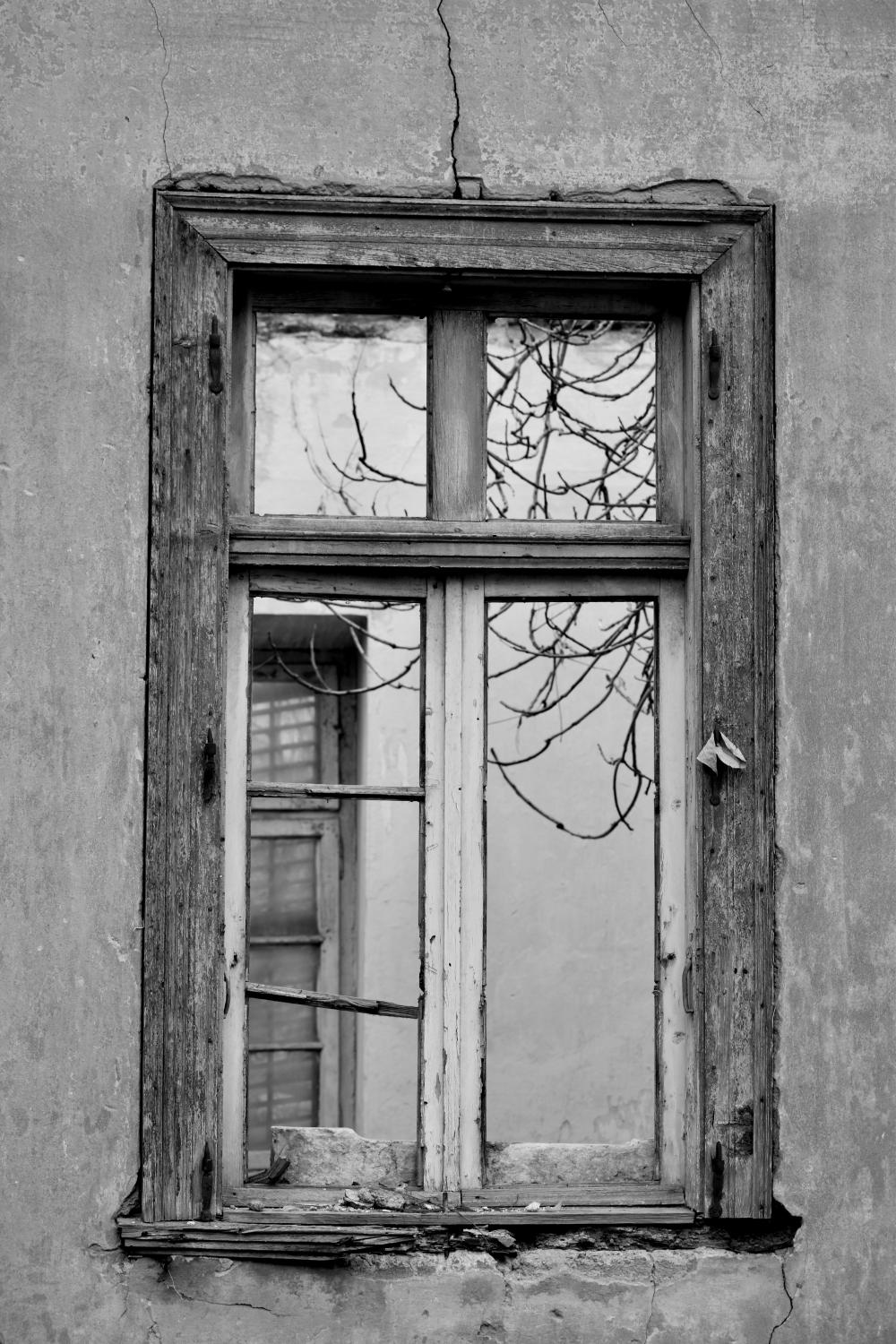 The Eyes of the House - 183