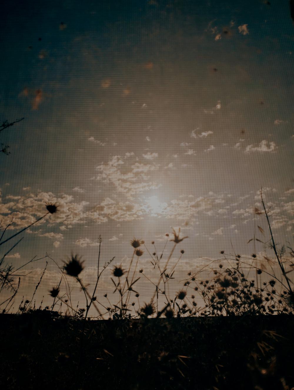 The Last Light of Spring