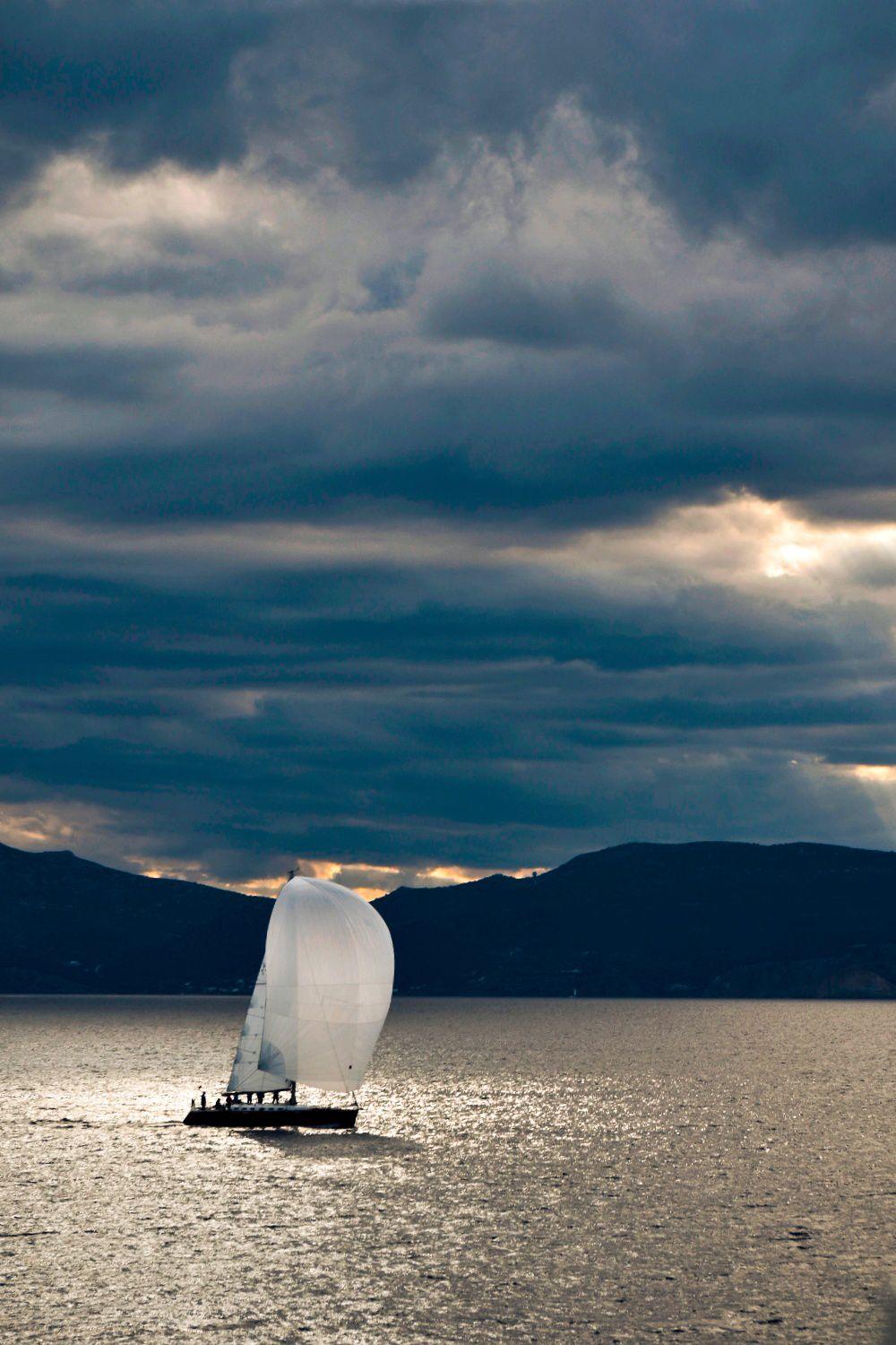 The Voyage of Hope - 224
