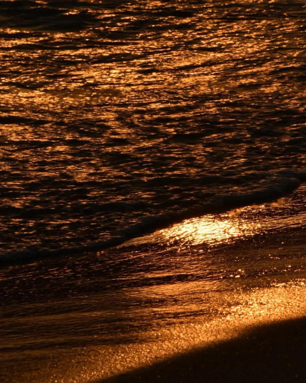 Golden Sea - 1