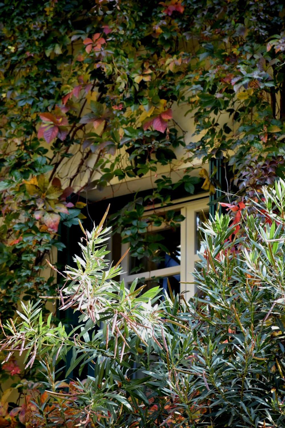 Autumn at the Window - 99