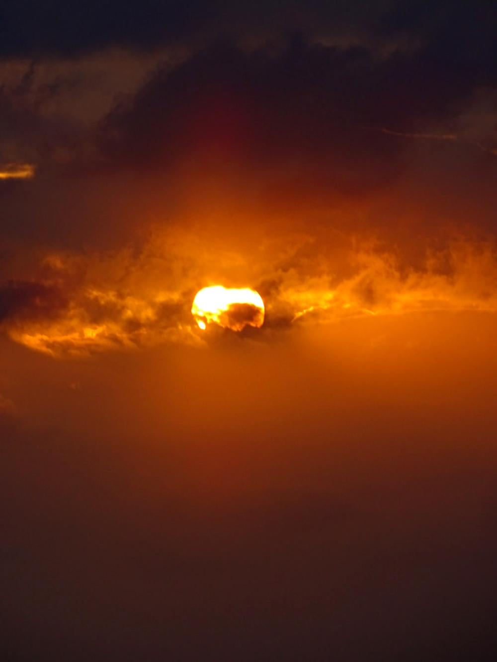 Where Light Learns to Breathe - 115