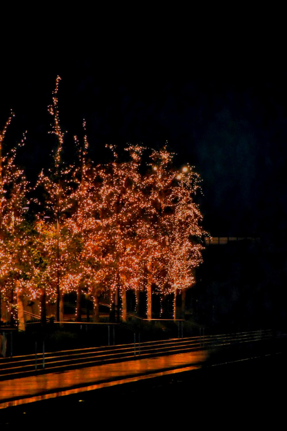 When Lights Teach the Dark to Hope - 127