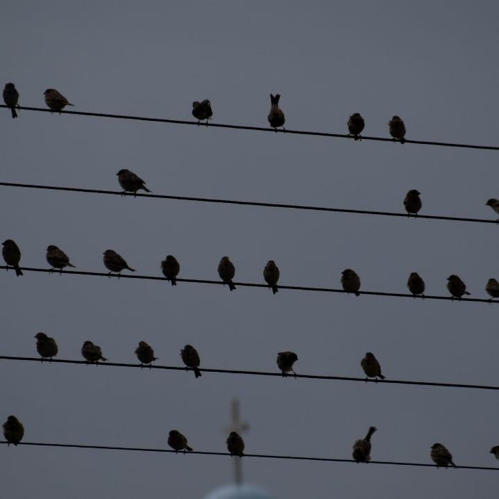 Sky Messengers - 145