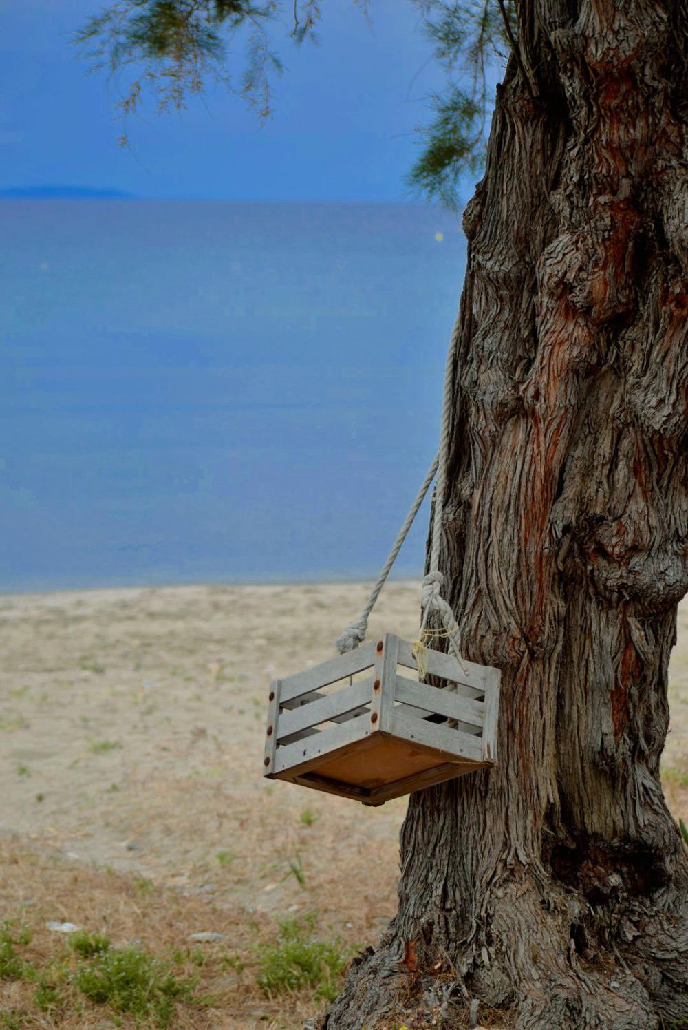 The Summer Swing - 274